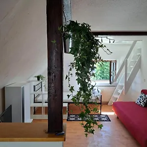 Apartment Saaler Pfandl Ferienwohnung Zentral Gelegen, Saal